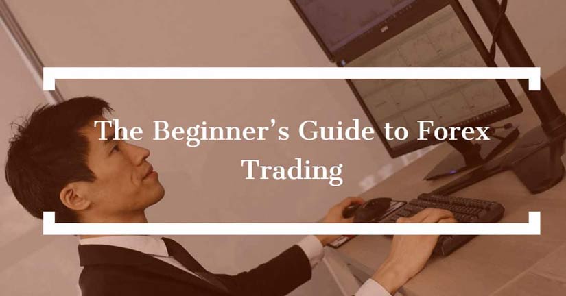 forex trading guide for beginners