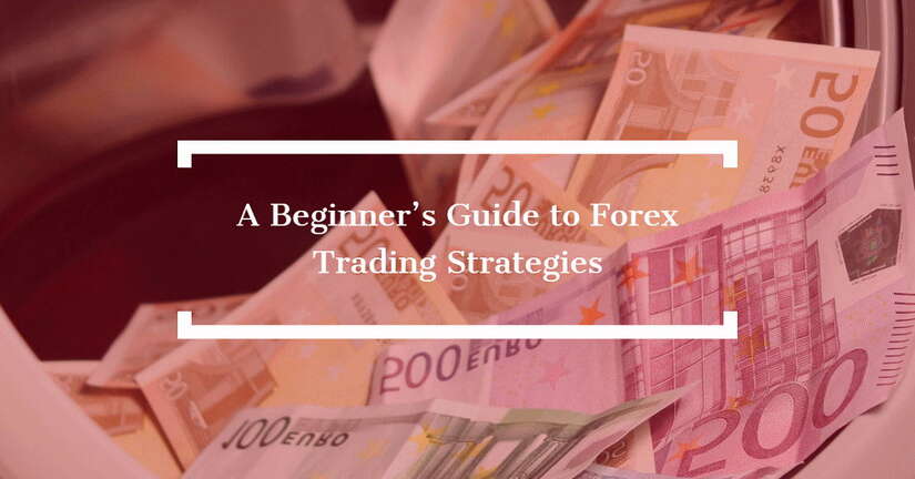 the basics of forex trading