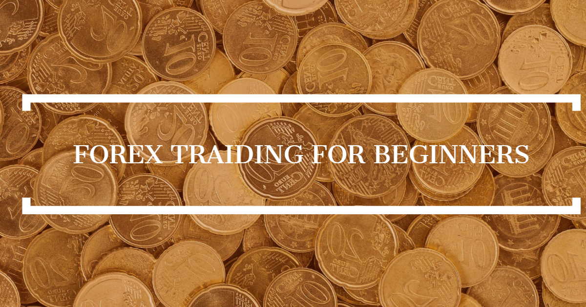 Der Leitfaden für Anfänger für Forex Trading  forexdelta